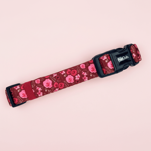 Collar - Burgundy Bloom