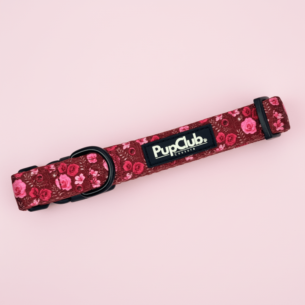 Collar - Burgundy Bloom