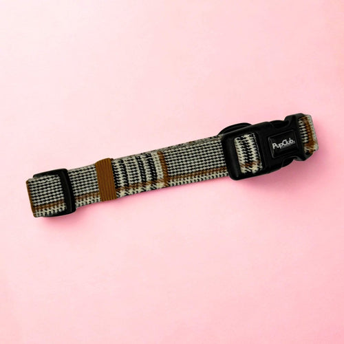 Collar - Foxbury Plaid
