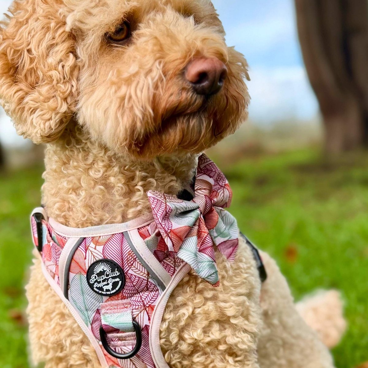 Dog Sailor Bow -  Autumn Breeze