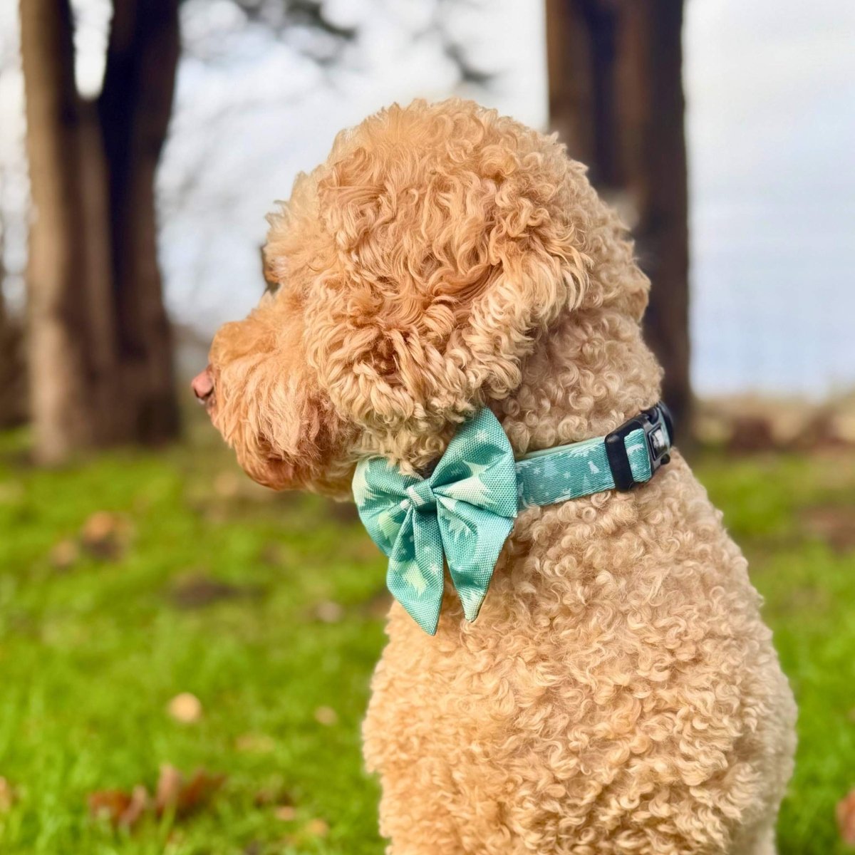 Dog Sailor Bow -  Evergreen Trails
