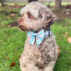 Dog Sailor Bow -  Pastel daisy