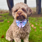 Dog Sailor Bow -  Pink Tartan