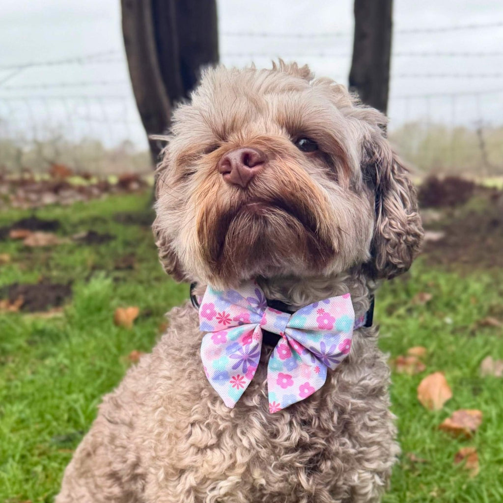 Dog Sailor Bow -  Pretty Petals