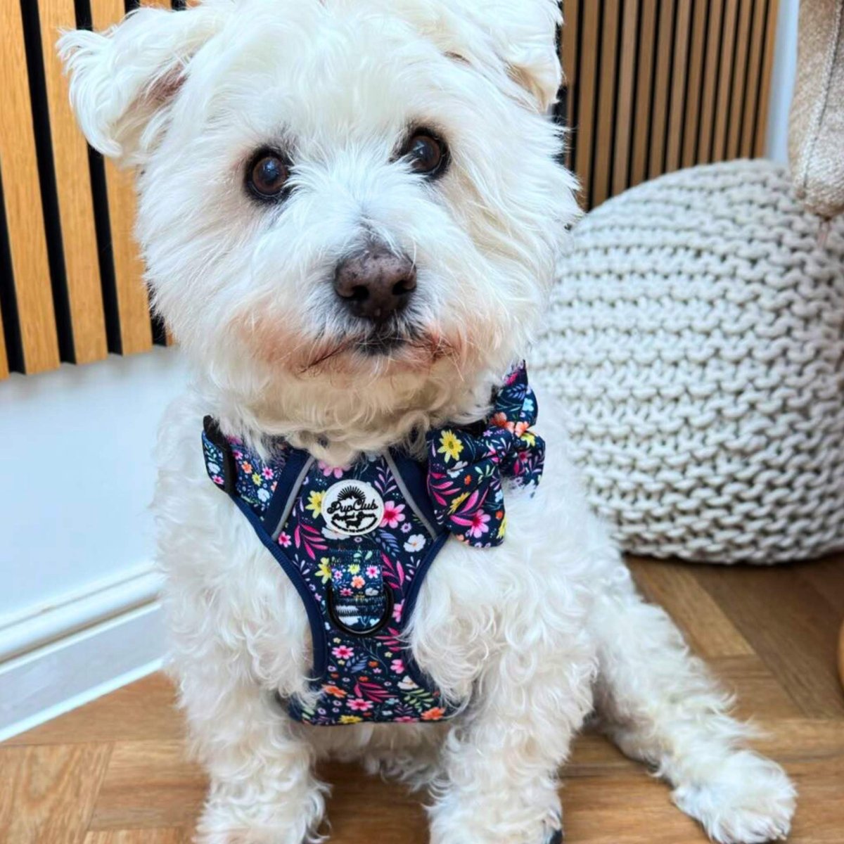 Dog Sailor Bow -  Summer Meadow