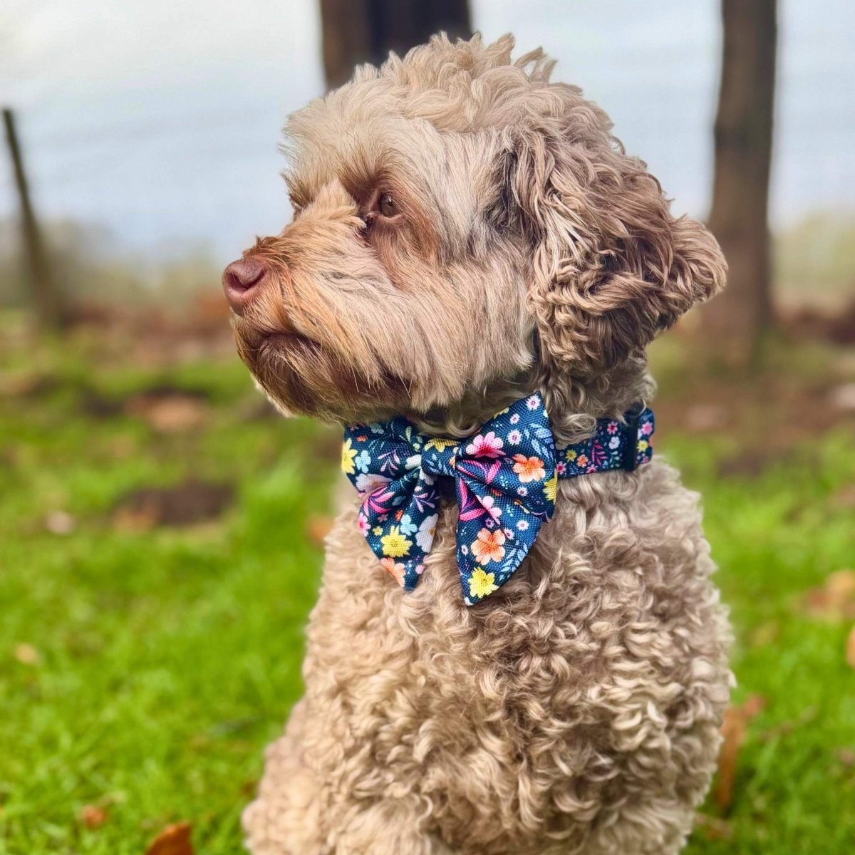 Dog Sailor Bow -  Summer Meadow