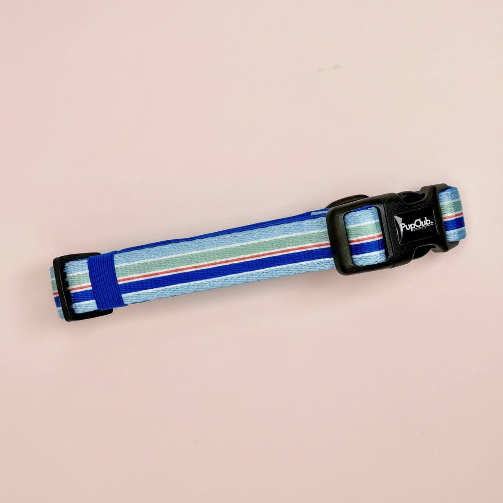 Collar - Sea Breeze Stripes