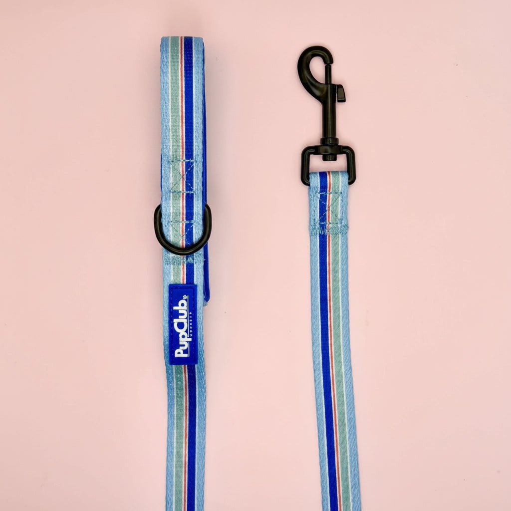 Lead - Sea Breeze Stripes