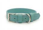 Duck Egg Blue Leather Dog Collar