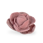 Cabbage Pop enrichment dog toy