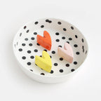 Slow Feed Bowl