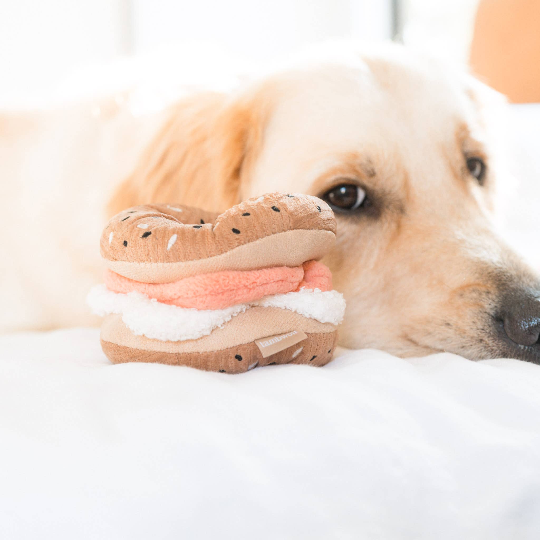 Bagel + Pickle enrichment dog toy