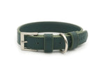 Green Leather Dog Collar