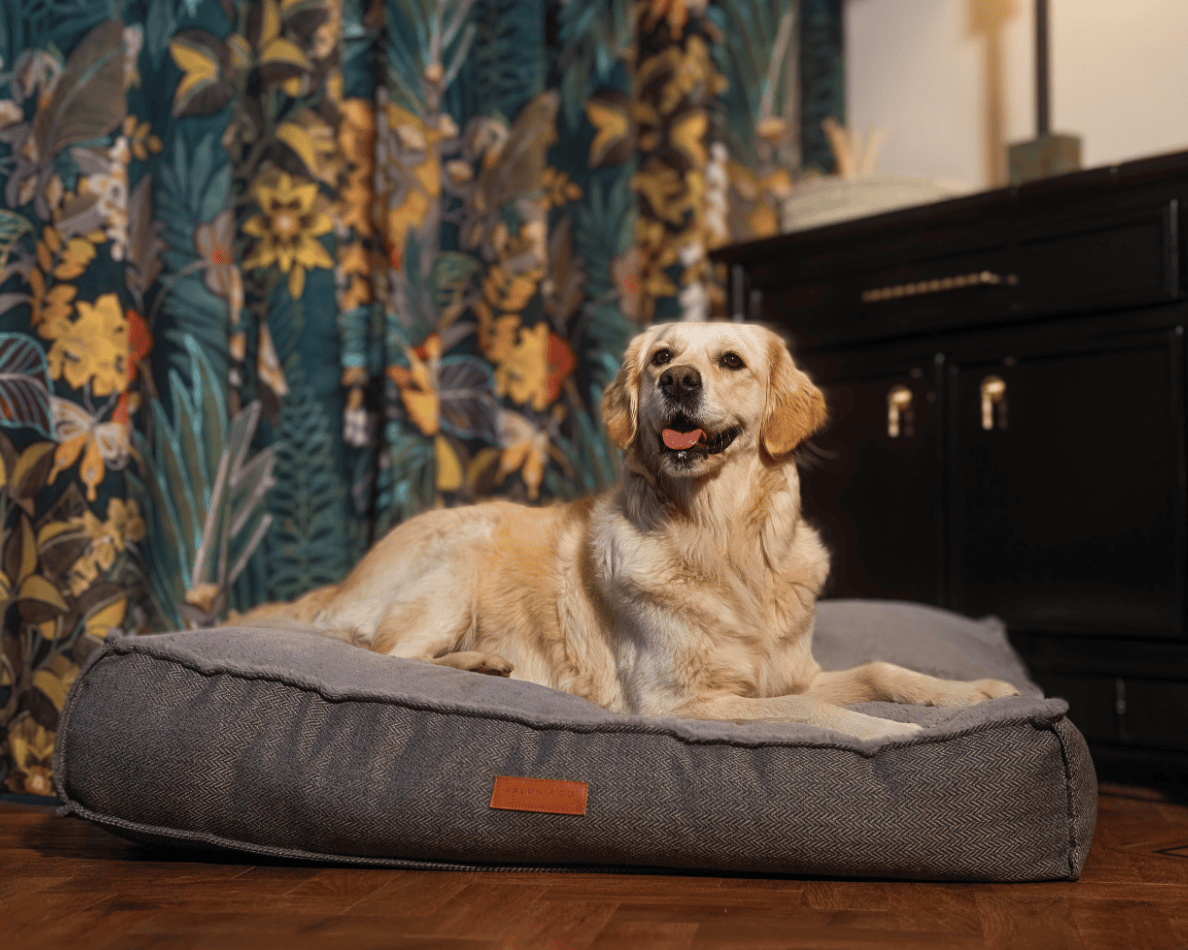 THE BALMORAL  | LUXURY PILLOW BED