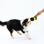 Rope Ring Bee Dog Toy – Tug & Interactive Play