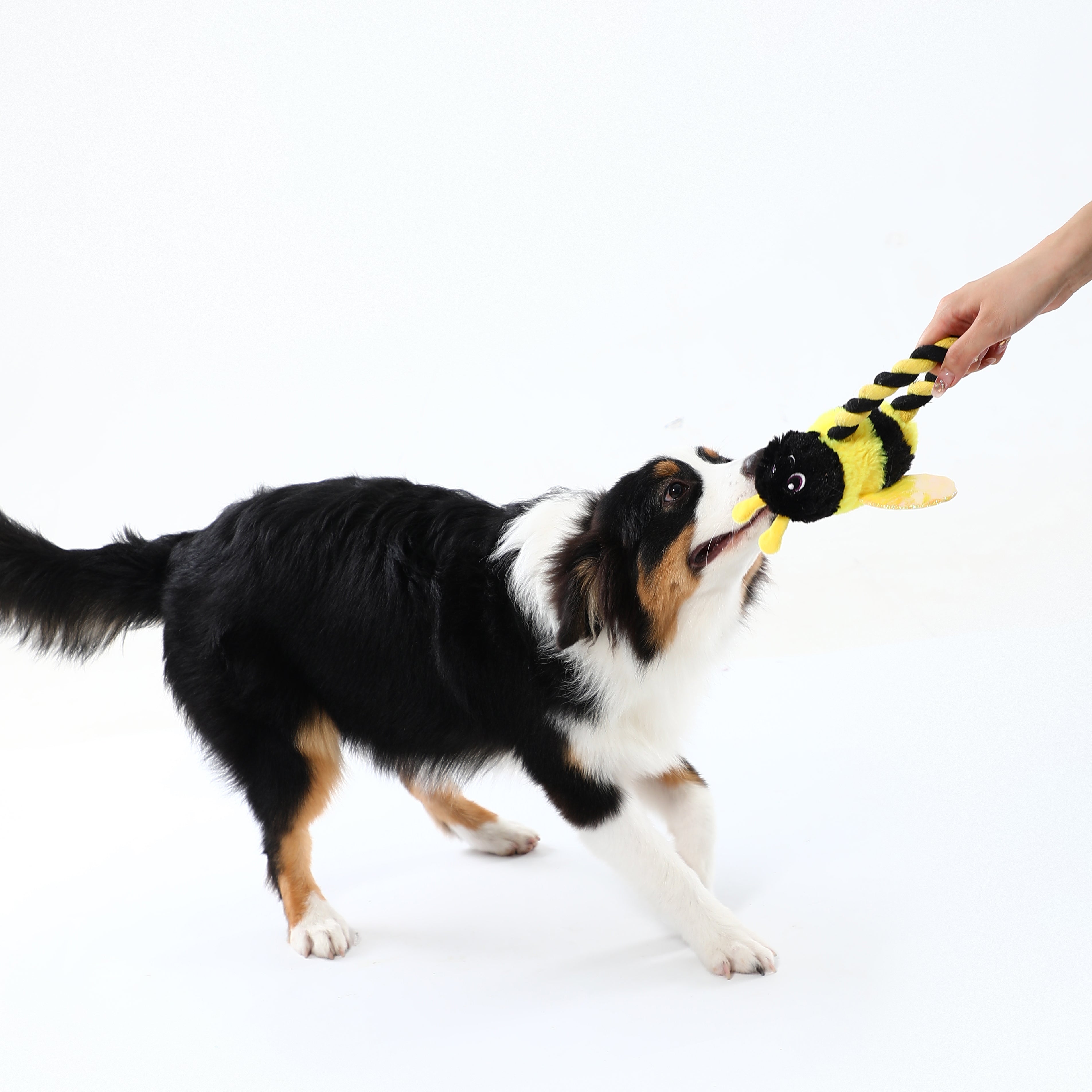 Rope Ring Bee Dog Toy – Tug & Interactive Play