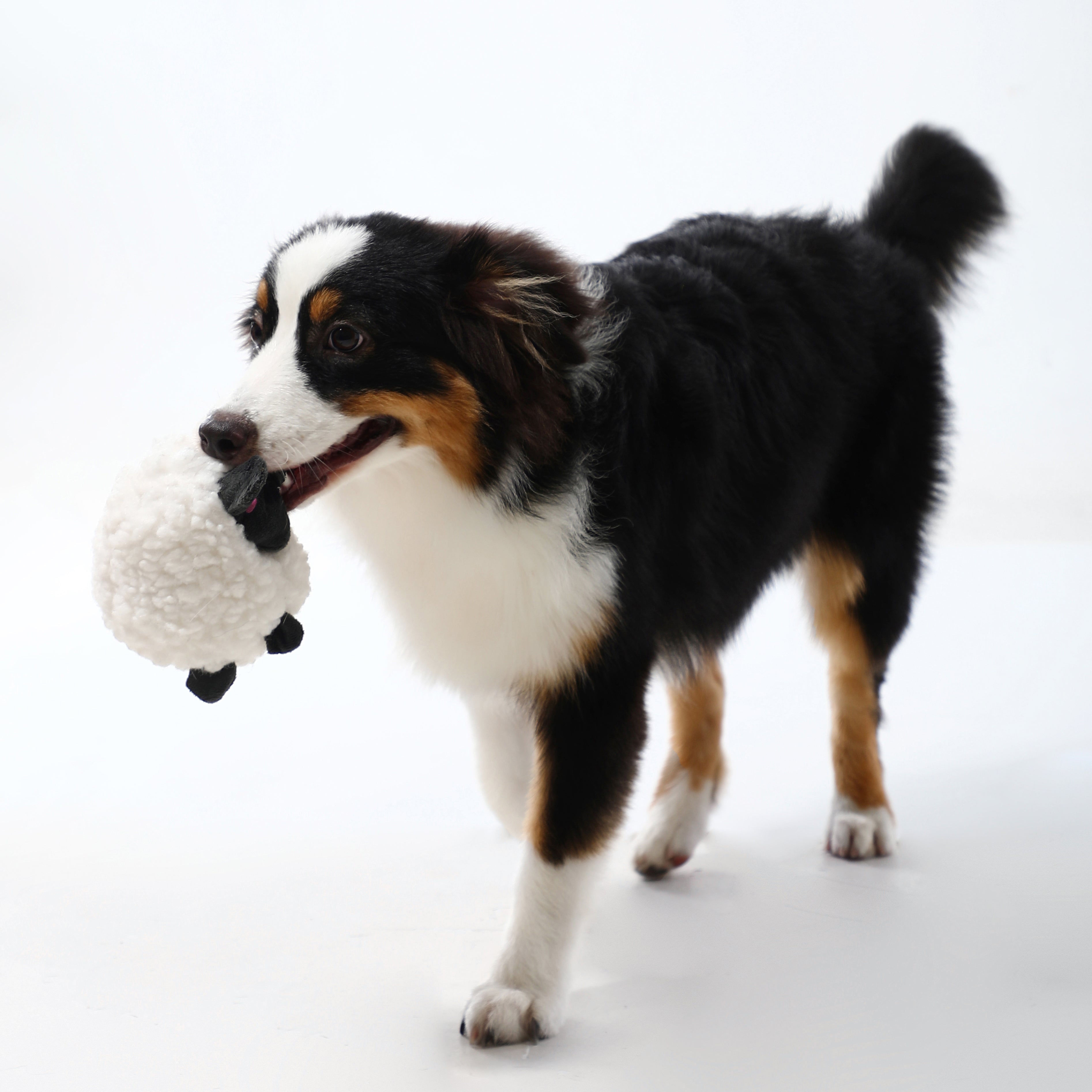 Woven Core Chubby Woolball Dog Toy – Durable Chew & Play