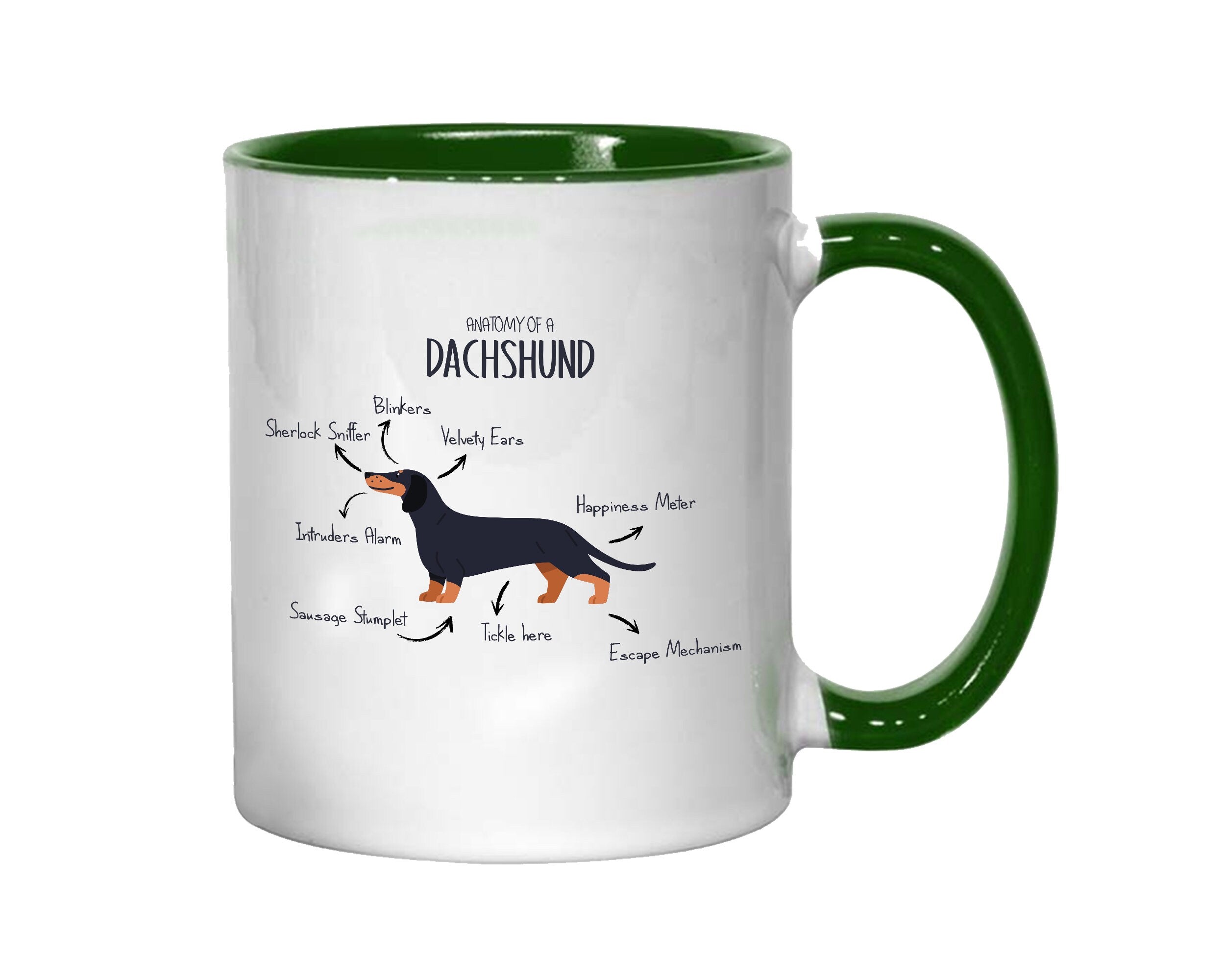 Anatomy of a Dachshund Mug Gift - Funny Dachshund Ceramic Coffee Mug For Him Or Her Dog Lover Gift MGZ416