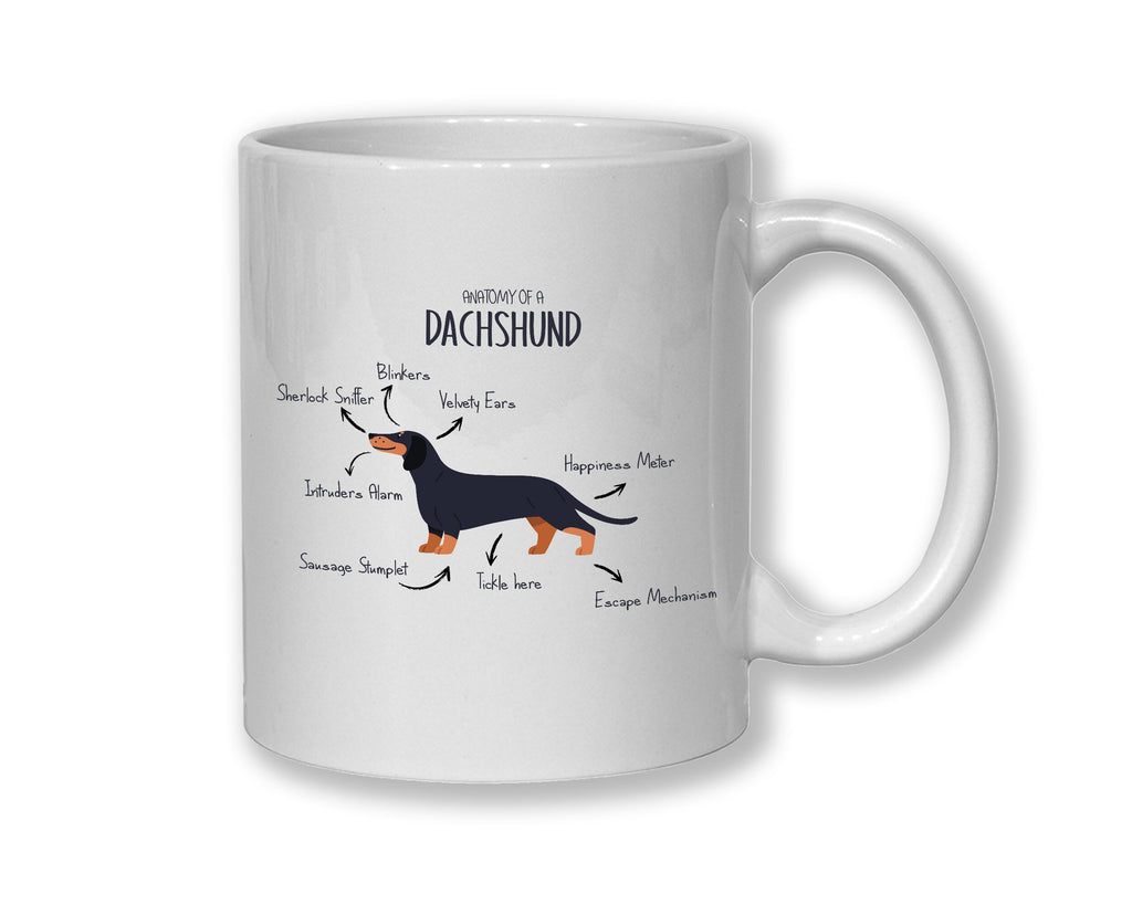 Anatomy of a Dachshund Mug Gift - Funny Dachshund Ceramic Coffee Mug For Him Or Her Dog Lover Gift MGZ416