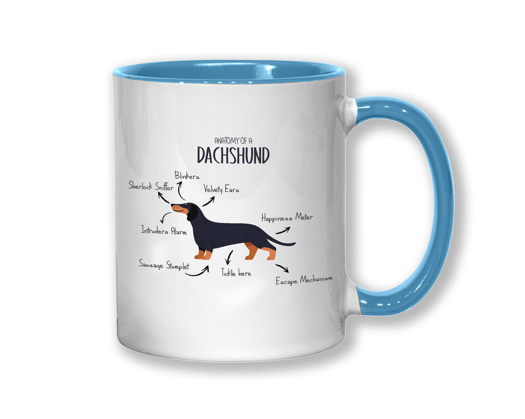 Anatomy of a Dachshund Mug Gift - Funny Dachshund Ceramic Coffee Mug For Him Or Her Dog Lover Gift MGZ416