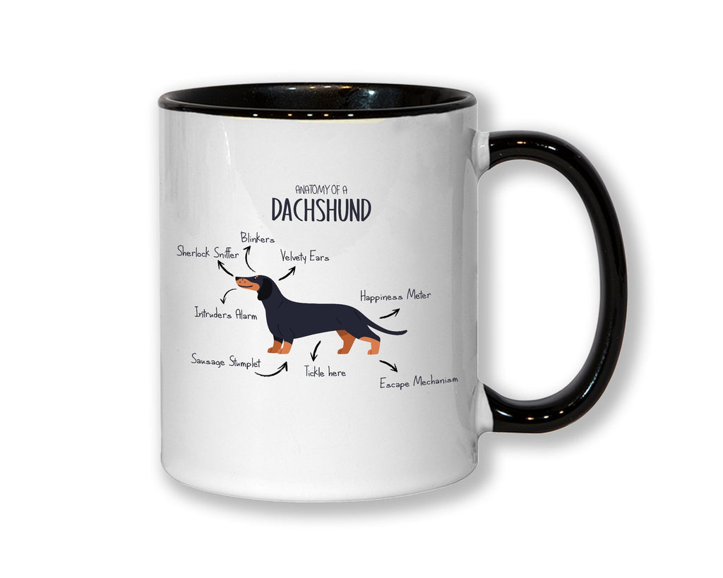 Anatomy of a Dachshund Mug Gift - Funny Dachshund Ceramic Coffee Mug For Him Or Her Dog Lover Gift MGZ416