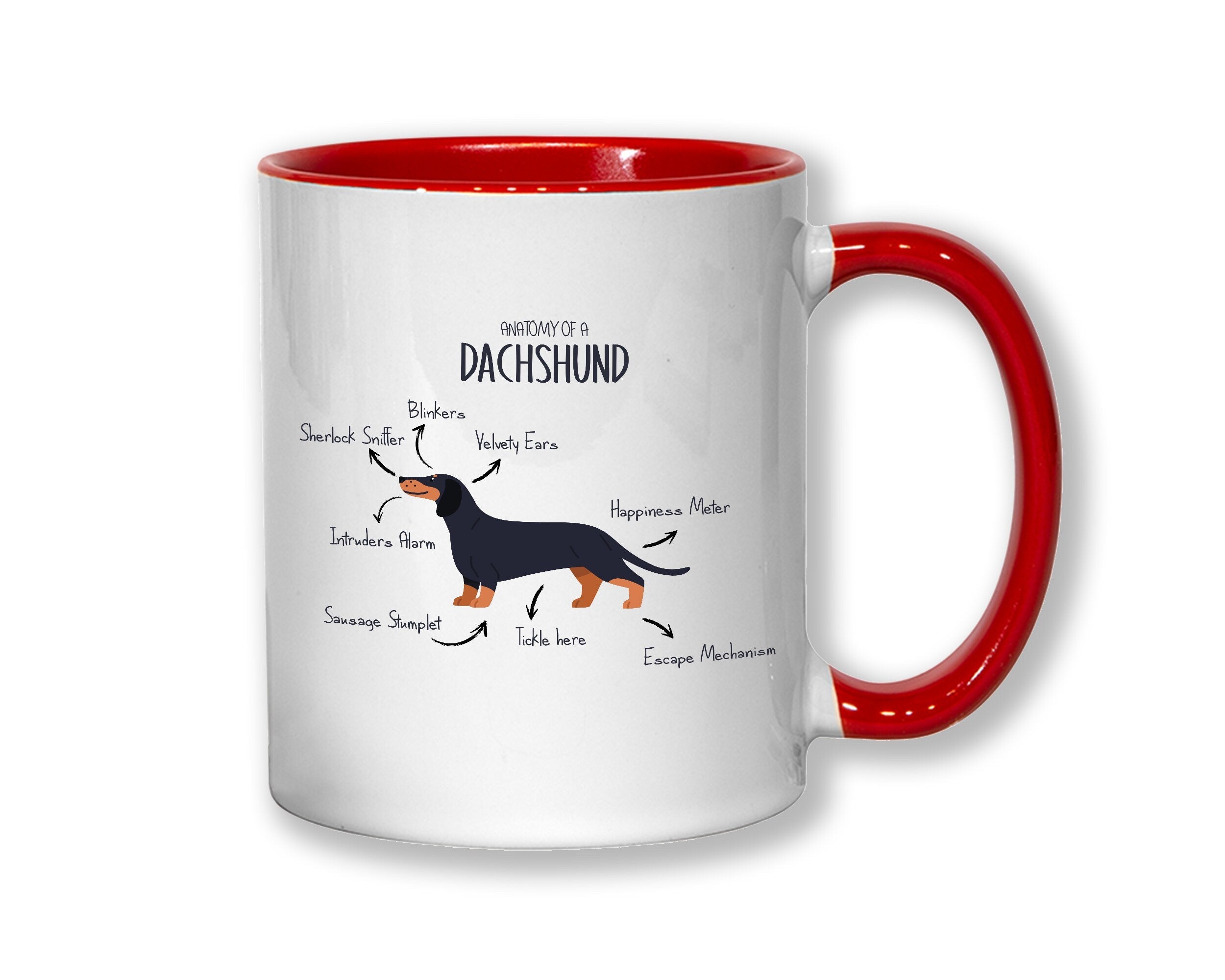 Anatomy of a Dachshund Mug Gift - Funny Dachshund Ceramic Coffee Mug For Him Or Her Dog Lover Gift MGZ416