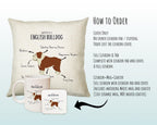 Anatomy of a English Bulldog Funny Gift For Him Or Her Cushion Pillow Bedroom Decor CS414