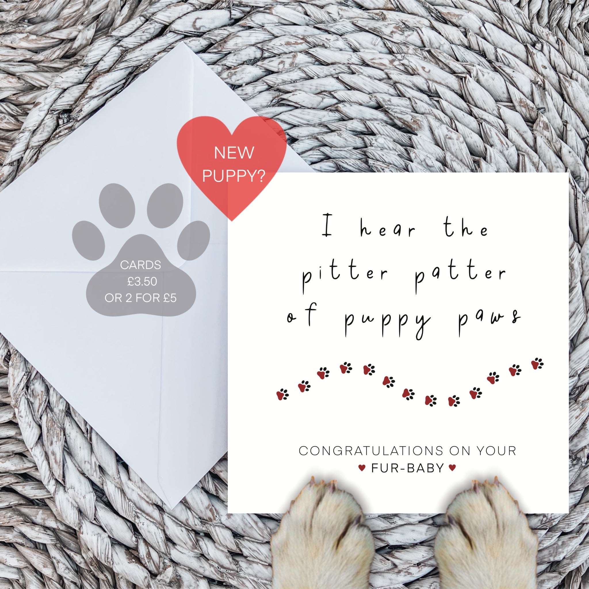 New puppy card