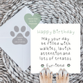Happy birthday fur-iend (from one dog to another) green