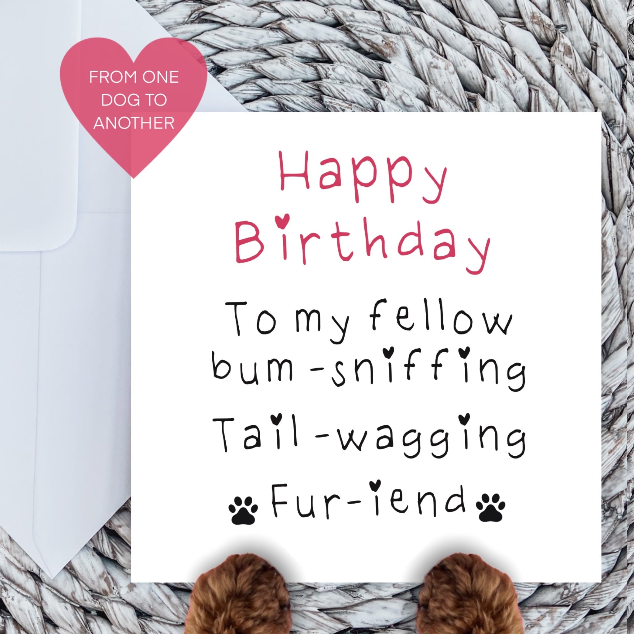 Happy birthday fellow bum sniffer (from one dog to another) pink