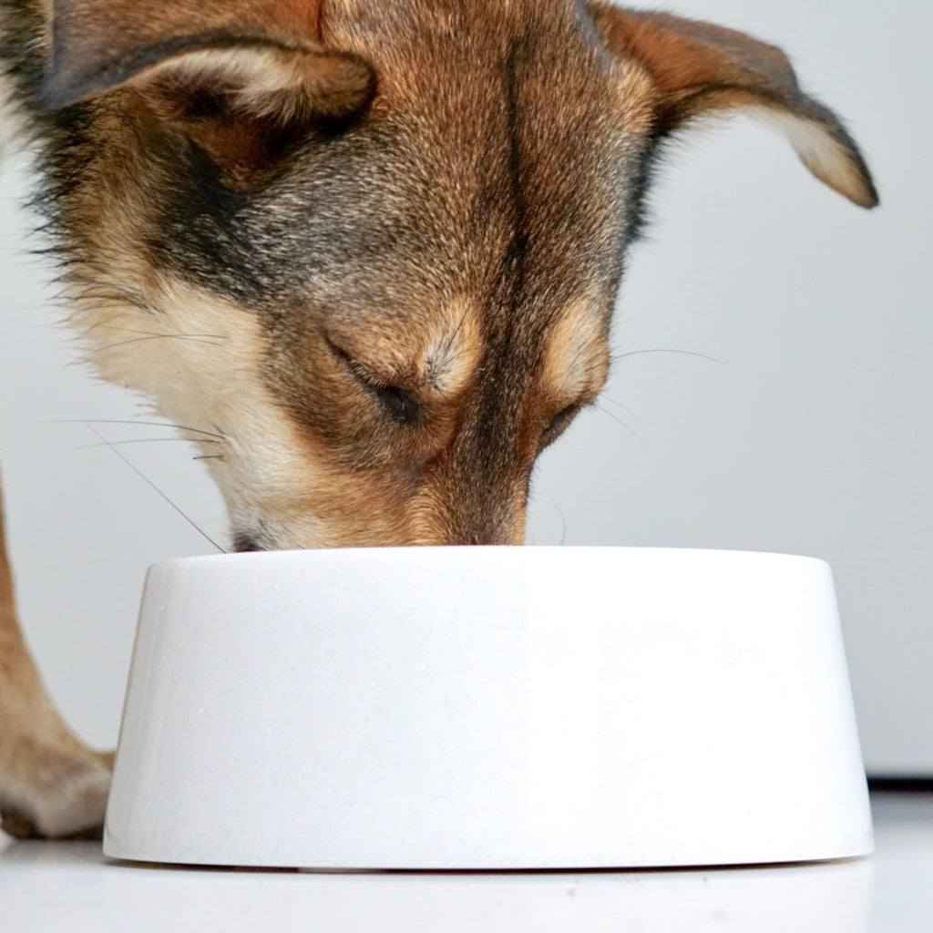 Calacatta Viola Marble Dog Bowl