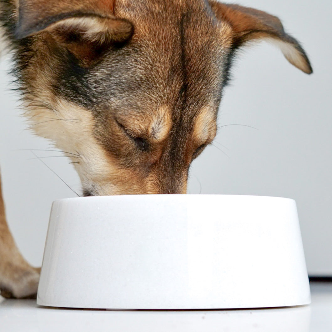 Calacatta Viola Marble Dog Bowl
