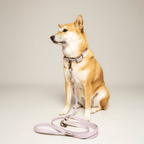 Kitsunē Multiposition dog lead - BioThane®