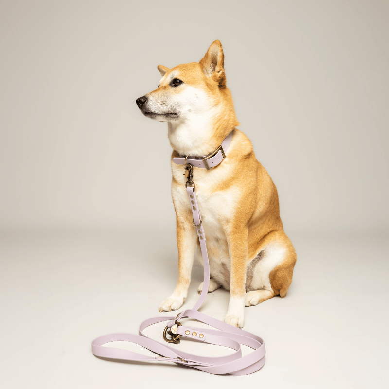Kitsunē Multiposition dog lead - BioThane®