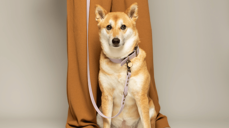 Kitsunē Multiposition dog lead - BioThane®
