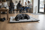 Foldable Dog Travel Mat | Handmade Cushioned Pet Mat | Portable Dog Bed UK | Machine Washable Dog Mat
