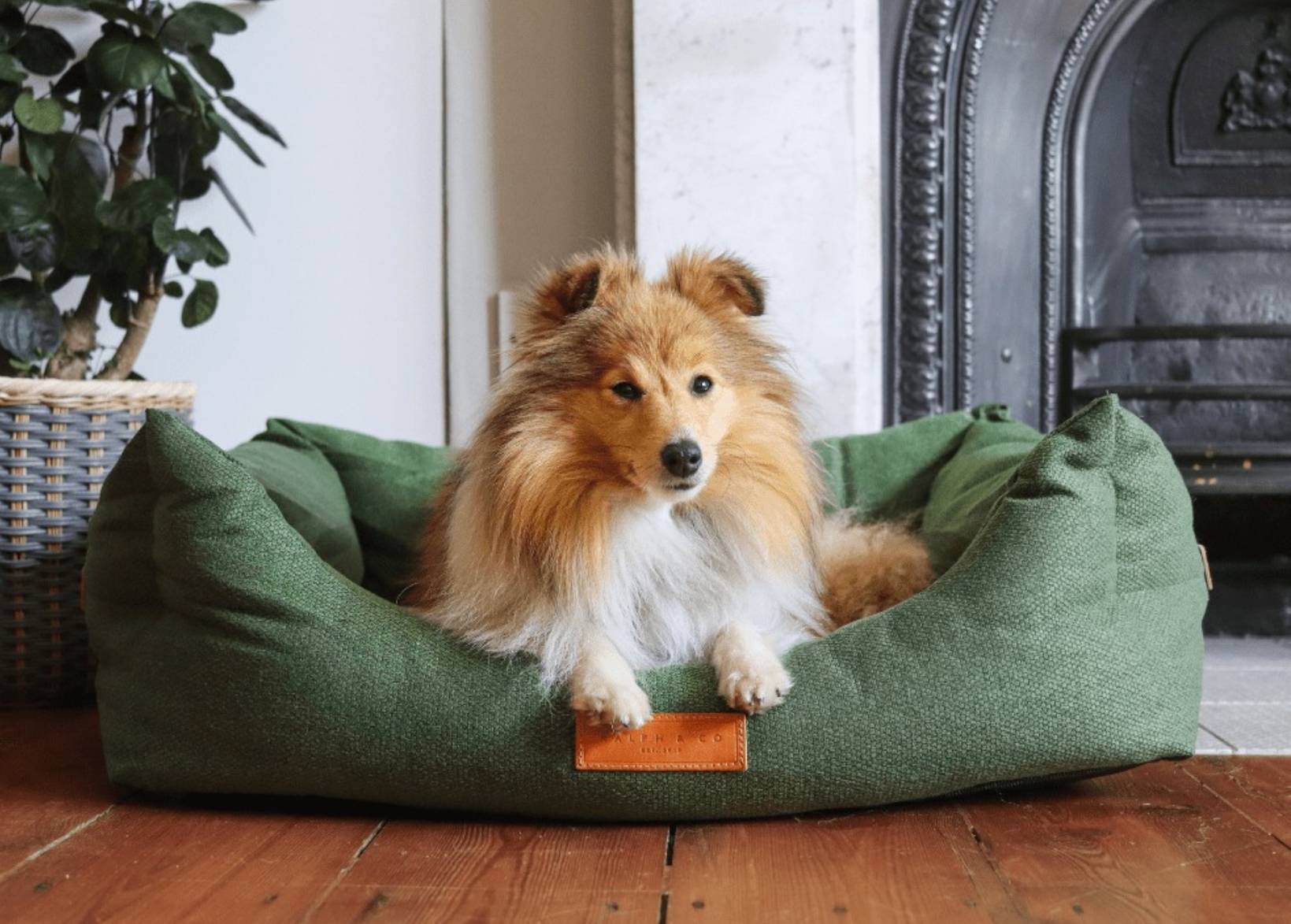 THE RICHMOND | LUXURY GREEN BED