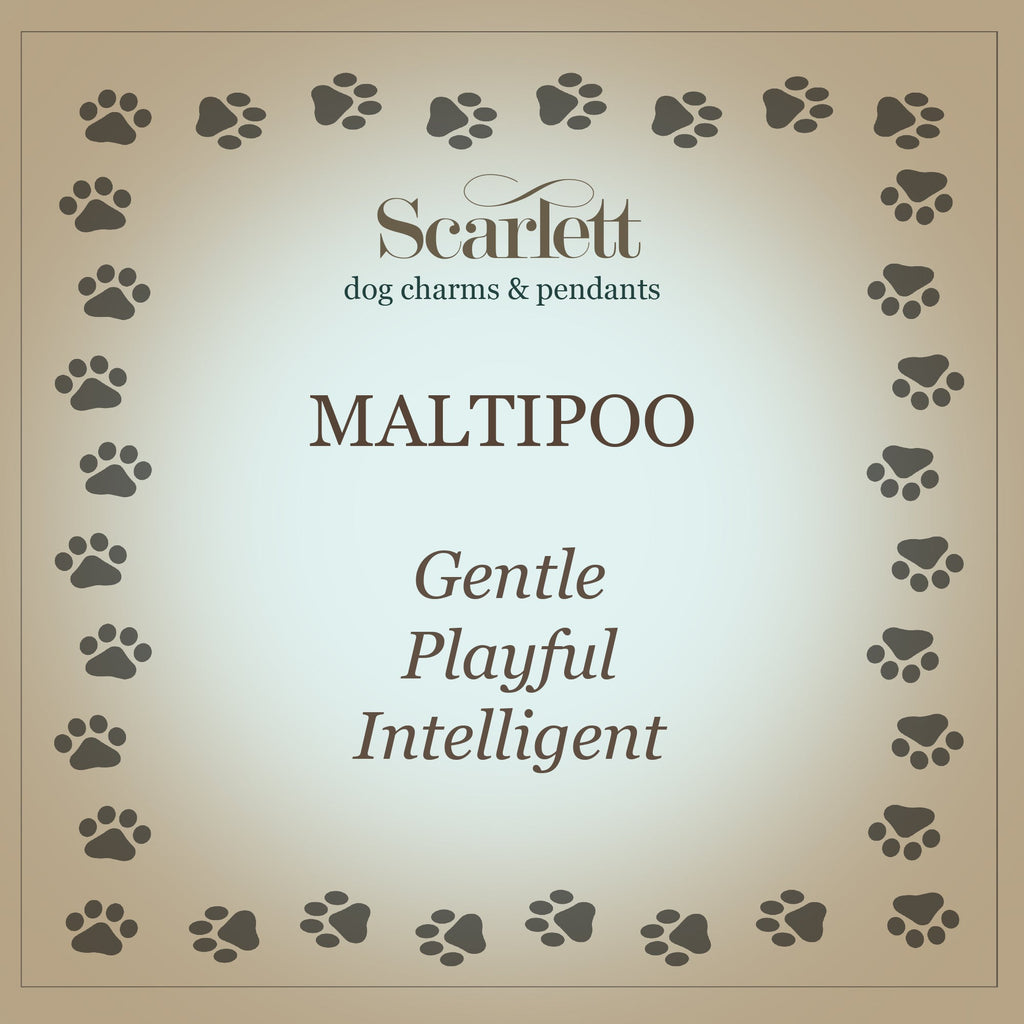 Maltipoo Silver Dog Charm