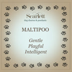 Maltipoo Silver Dog Charm