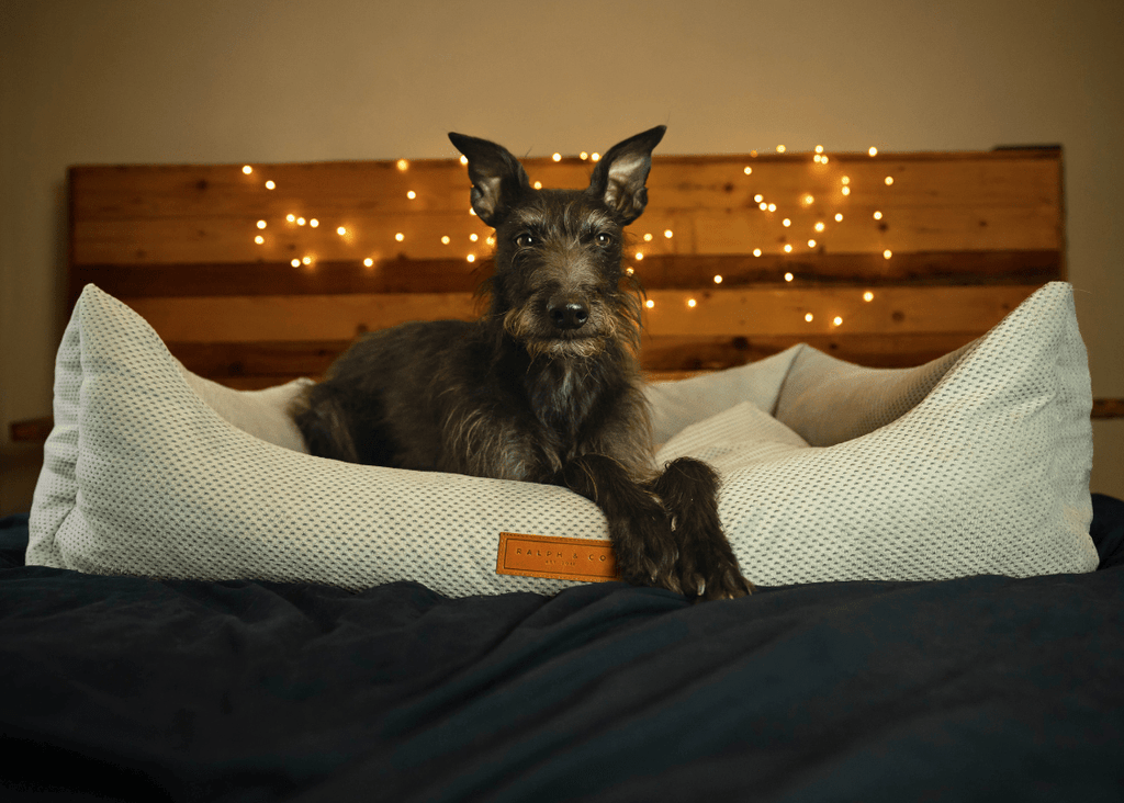 THE HIGHCLERE | LUXURY MEMORY FOAM BED