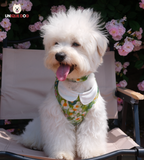 London Garden - Greenwich Harness