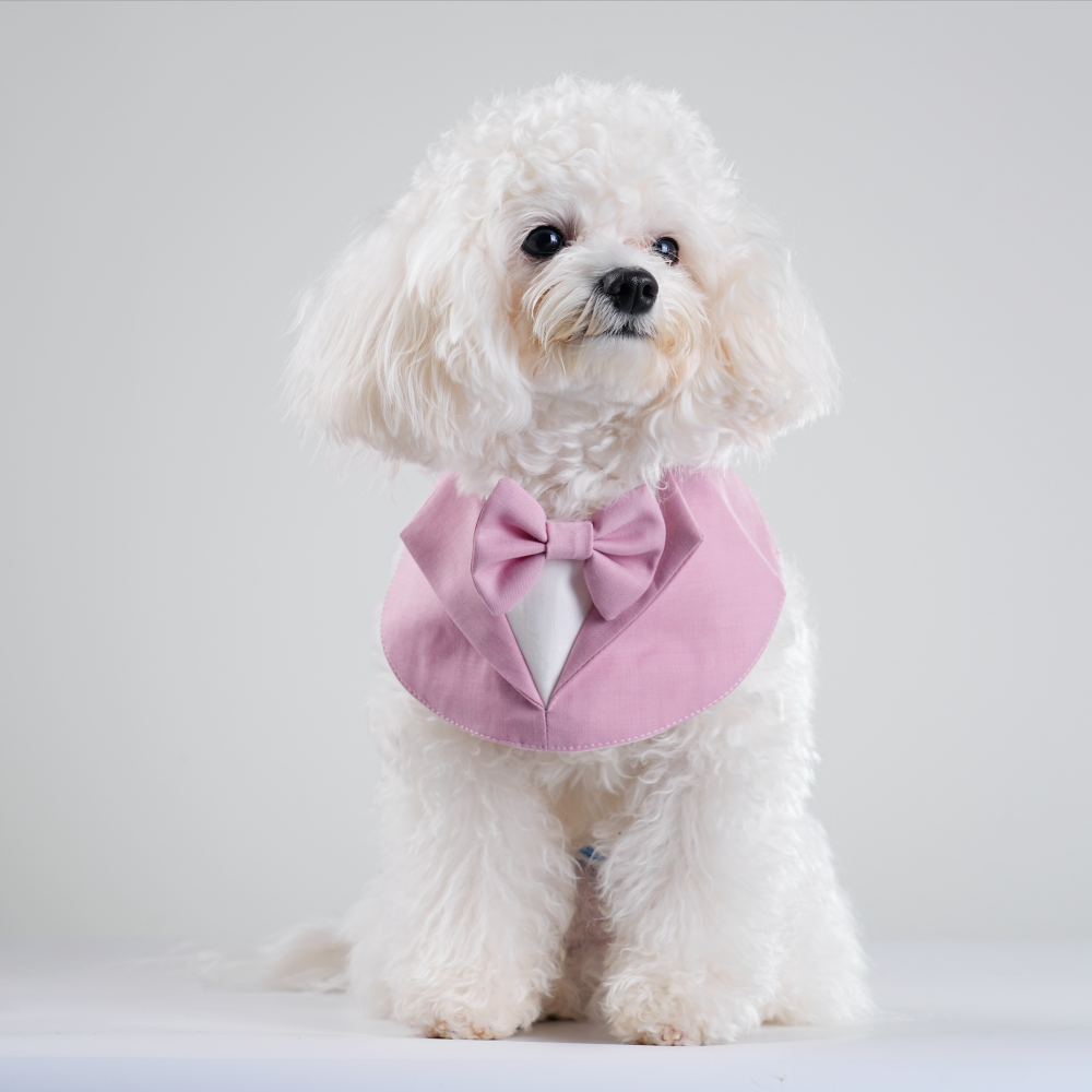 Gentleman - Blossom Bandana