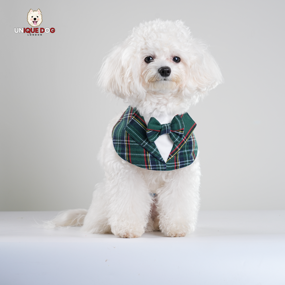 Gentleman - Earl Bandana