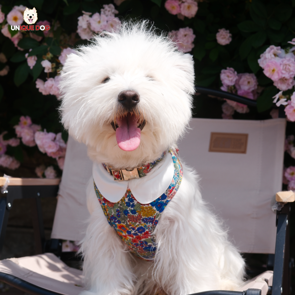 London Garden - Kensington Harness