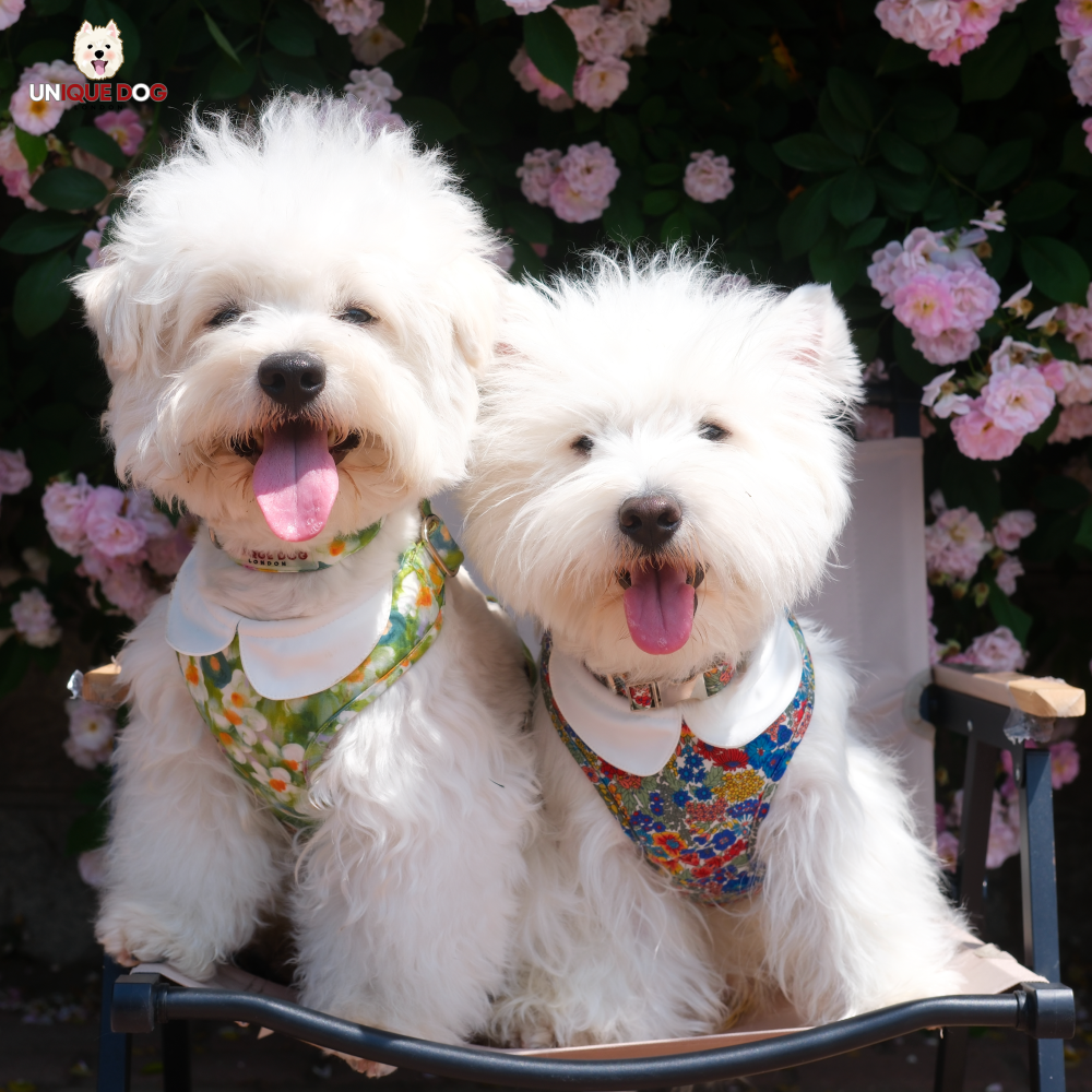 London Garden - Kensington Harness