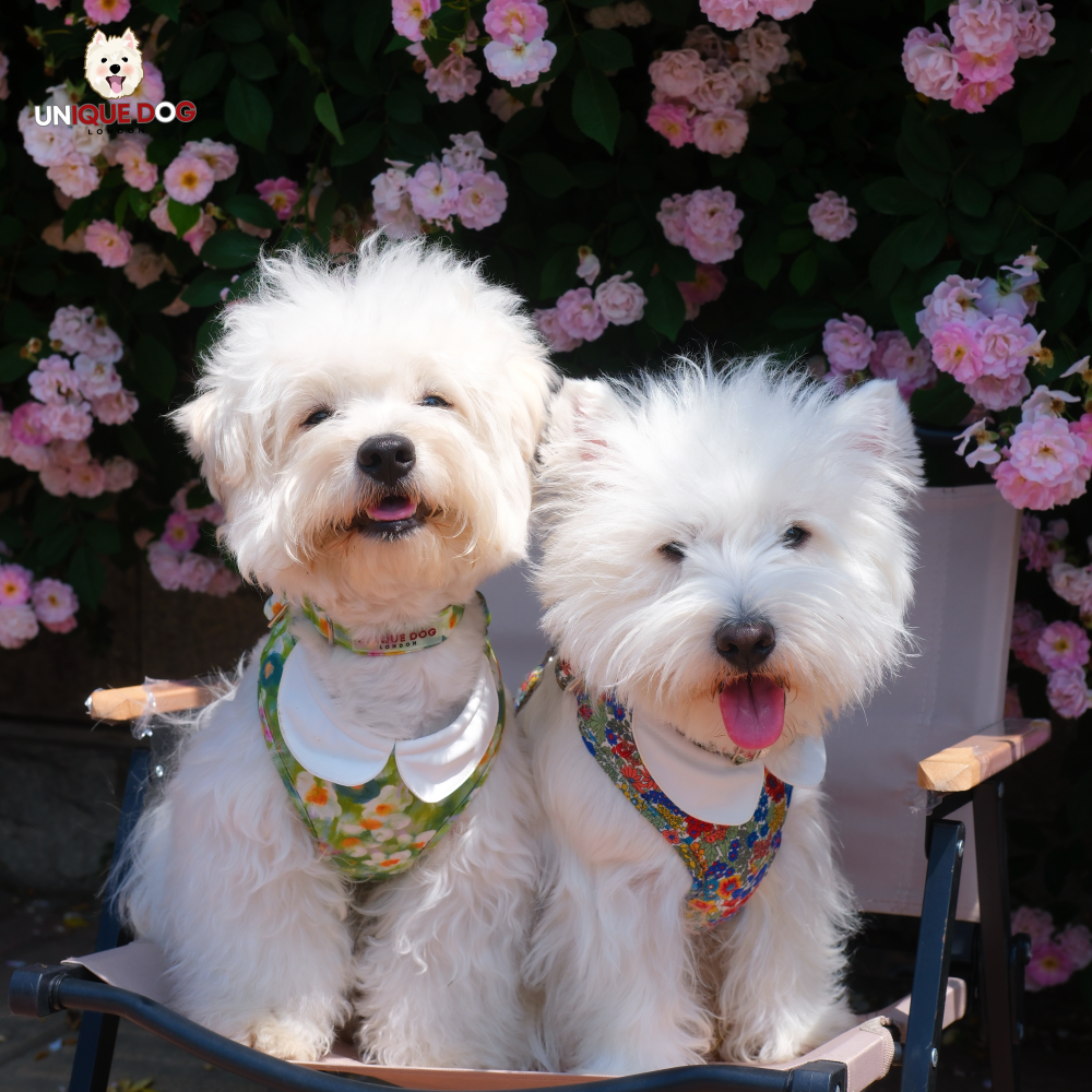 London Garden - Greenwich Harness