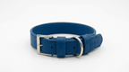 Royal Blue Leather Dog Collar