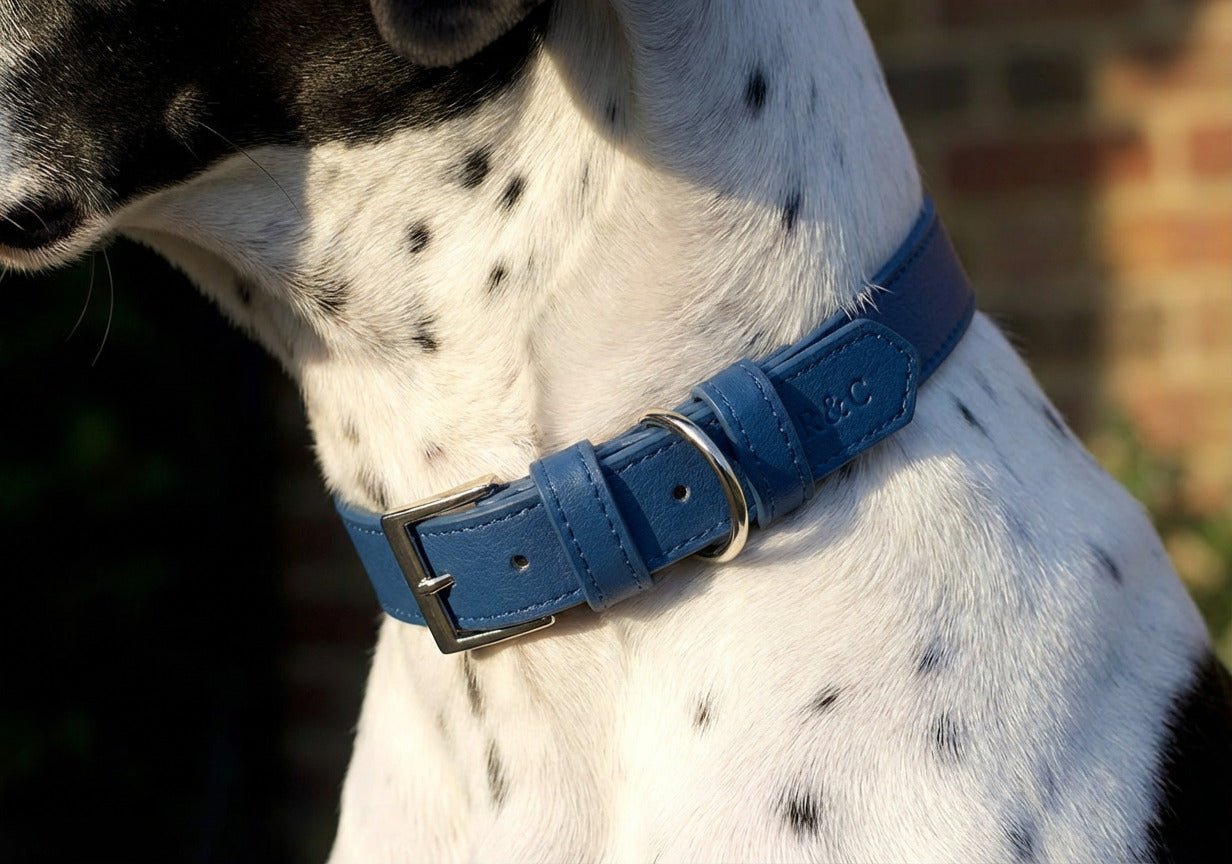 Royal Blue Leather Dog Collar