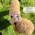 Rugged Rover™ Harness - Autumn Breeze