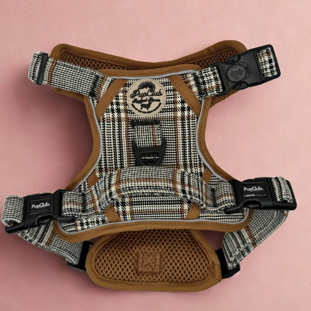 Rugged Rover™ Harness - Foxbury Plaid